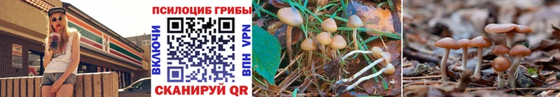 купить наркотик  Тюмень  Галлюциногенные грибы GOLDEN TEACHER 